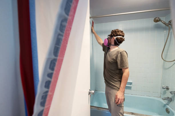Best Attic Mold Removal  in Palmer Ranch, FL