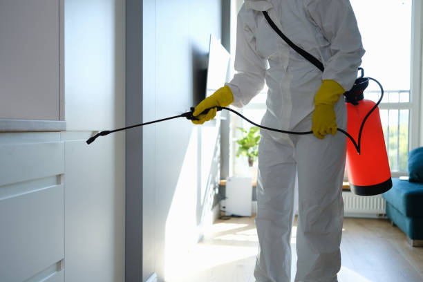 Best Mold Damage Restoration  in Palmer Ranch, FL